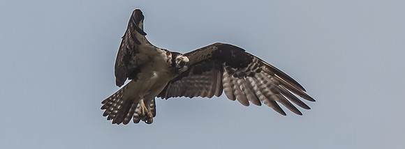 20160501-IMG_0167-2