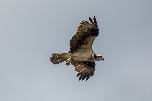 20160501-IMG_0059-2