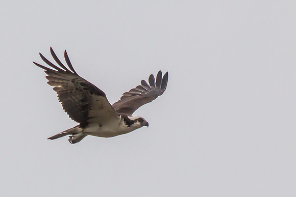 20160501-IMG_0250