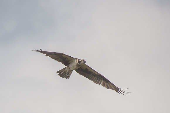 20160501-IMG_0104