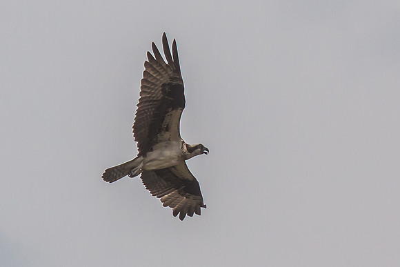 20160501-IMG_0151