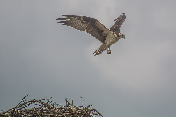 20160501-IMG_0081