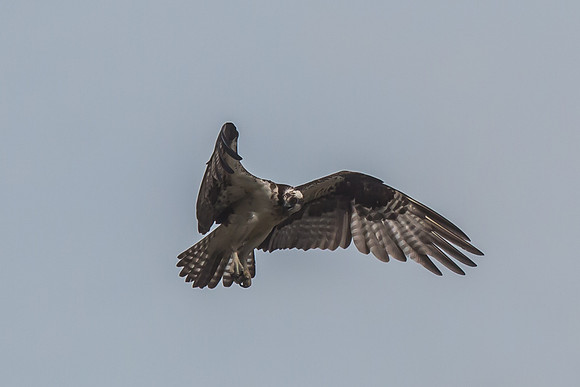 20160501-IMG_0167