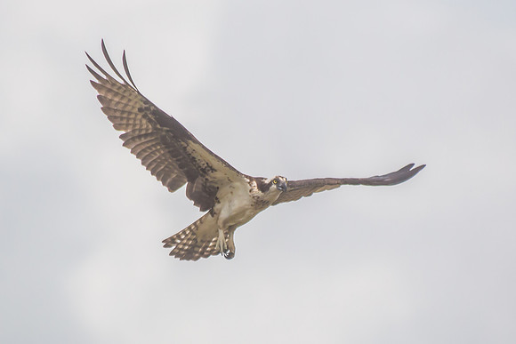 20160501-IMG_0082