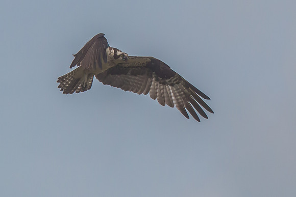 20160501-IMG_0166