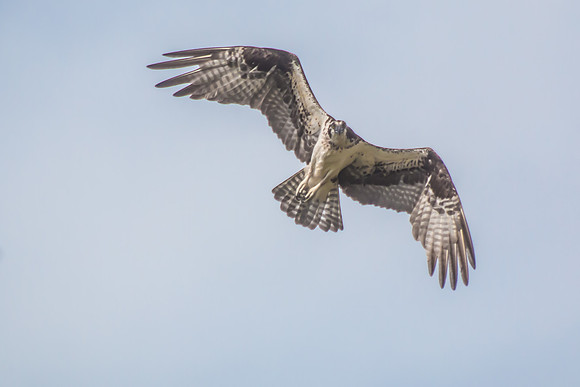 20160501-IMG_0042