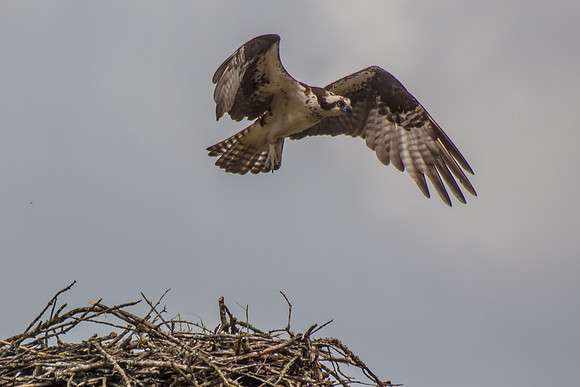 20160501-IMG_0080