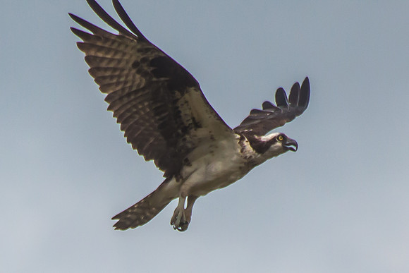 20160501-IMG_0107