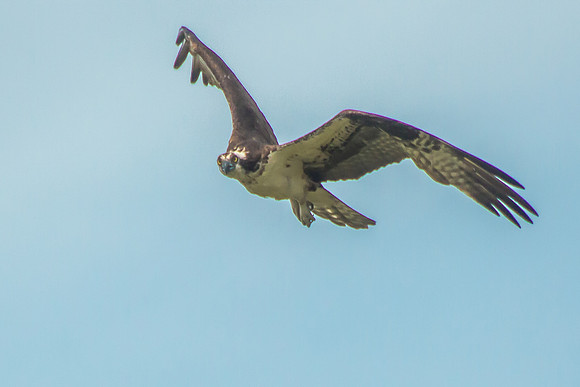 20160501-IMG_0039