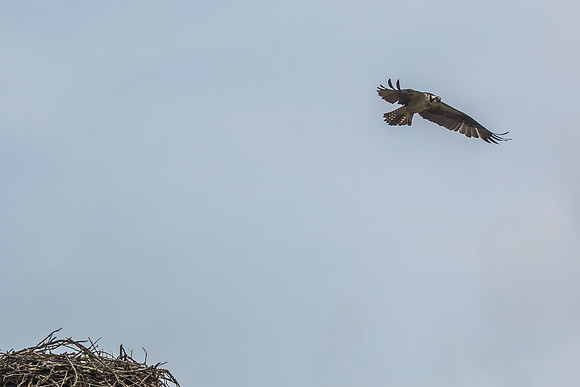 20160501-IMG_0165