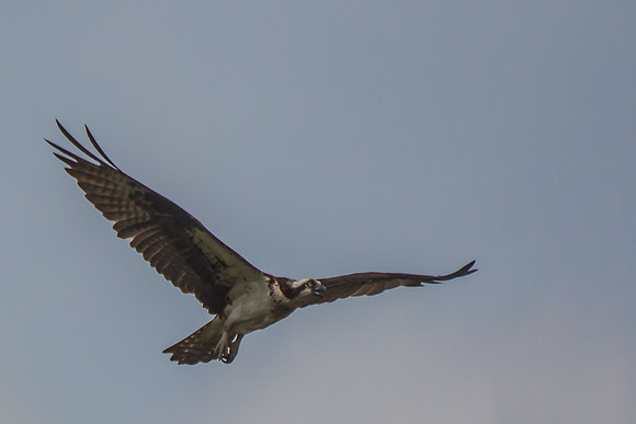 20160501-IMG_0106