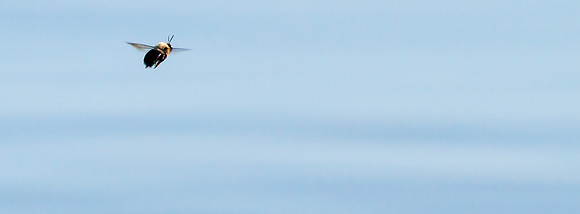 20160424-IMG_2349-2