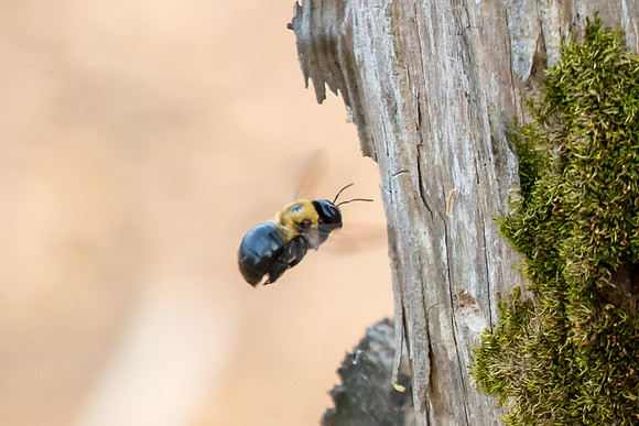20160419-IMG_0687