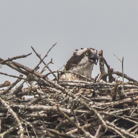 20160501-IMG_0076