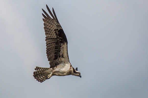 20160501-IMG_0085