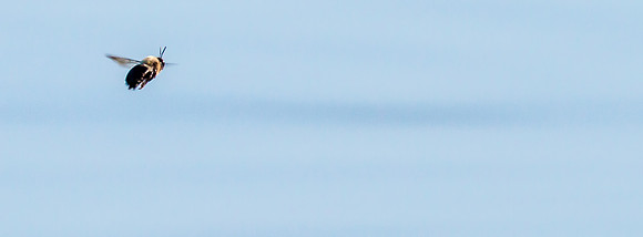 20160424-IMG_2345-2