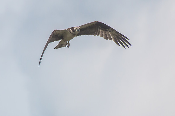 20160501-IMG_0100-2