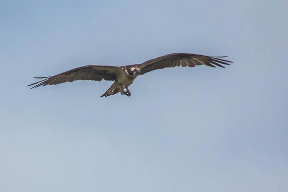 20160501-IMG_0055
