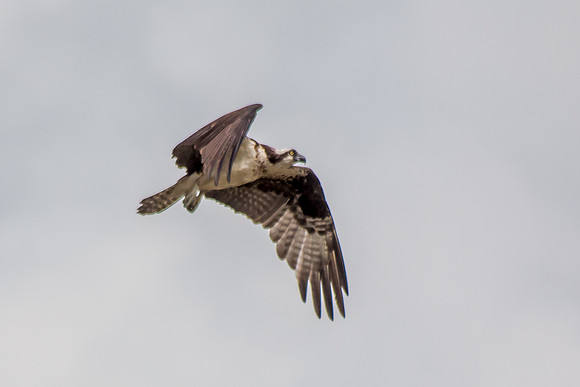 20160501-IMG_0060