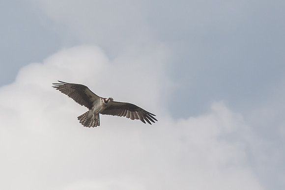 20160501-IMG_0157