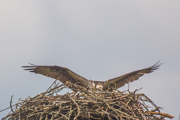 20160501-IMG_0071