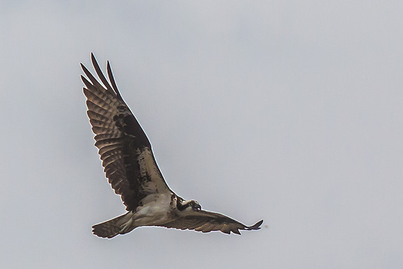 20160501-IMG_0150
