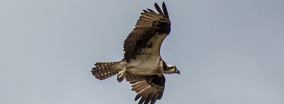 20160501-IMG_0059