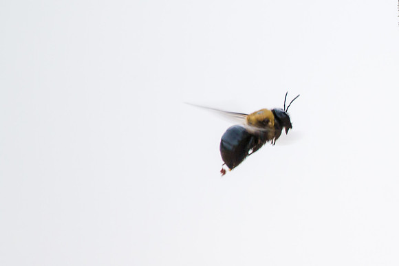 20160419-IMG_0535