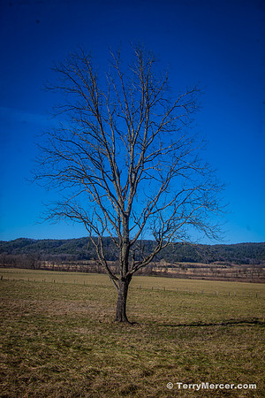20131226-IMG_8132