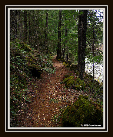 IMG_5129 - Trails can lead to amazing places...