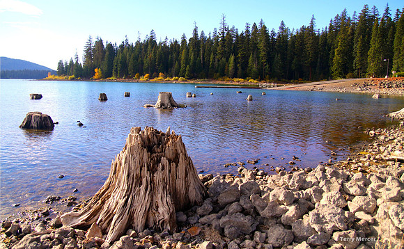 IMG_4629 - Stumped at Fish Lake (Oregon) - widescreen crop