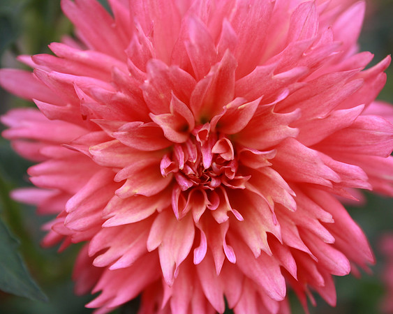 IMG_0284