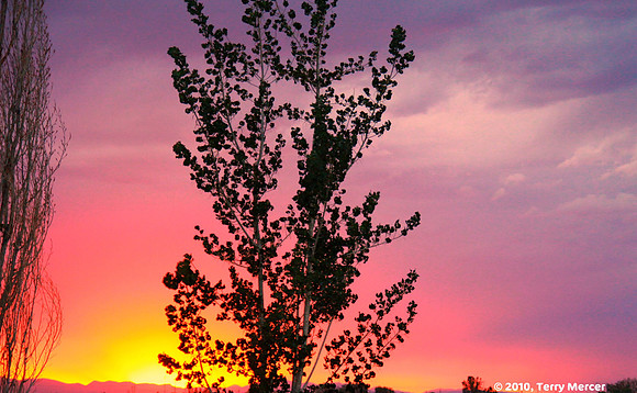 IMG_8636 - INCREDIBLY Colorful sunset... too pretty to ignore (widescreen crop)