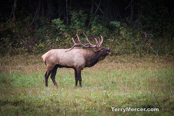 20140928-IMG_2058