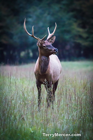 20140928-IMG_2477