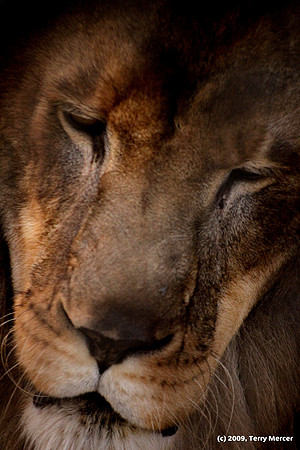 Does Canon Make anything for indigestion? Nikon's upset my stomach. - IMG_9337